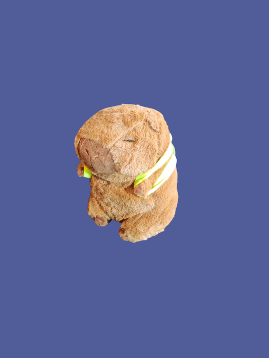 Cabibara